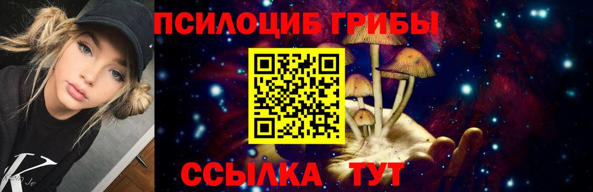Галлюциногенные грибы Psilocybine cubensis  Вход с VPN  Печора 